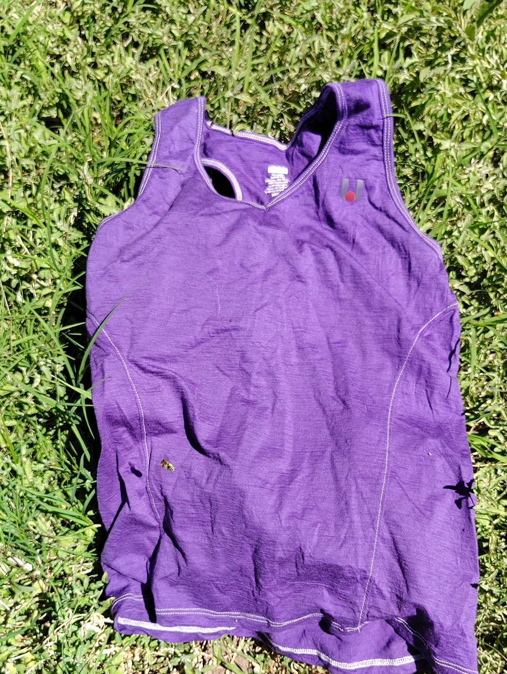 Pulse 100% Merino Wool Athletic Top Medium